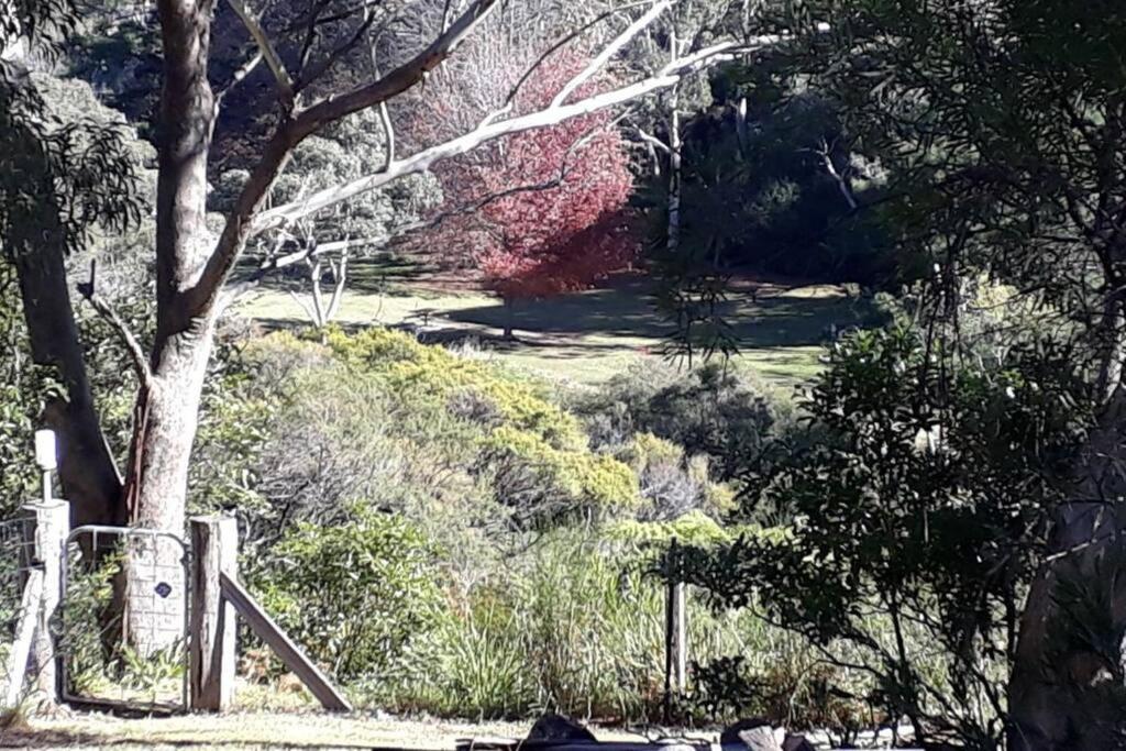 Katoomba Falls Cottage ภายนอก รูปภาพ